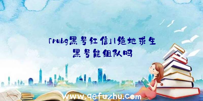 「pubg黑号红信」|绝地求生黑号能组队吗
